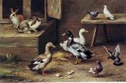 unknow artist poultry  174 Spain oil painting artist